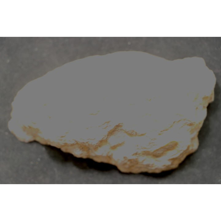 dinosaur coprolithe - jurassic - Morrison Formation
