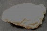 coprolithe de dinosaure - jurassique - Morrison Formation