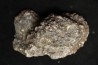 coprolithe de dinosaure - jurassique - Morrison Formation