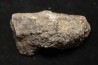 dinosaur coprolithe - jurassic - Morrison Formation