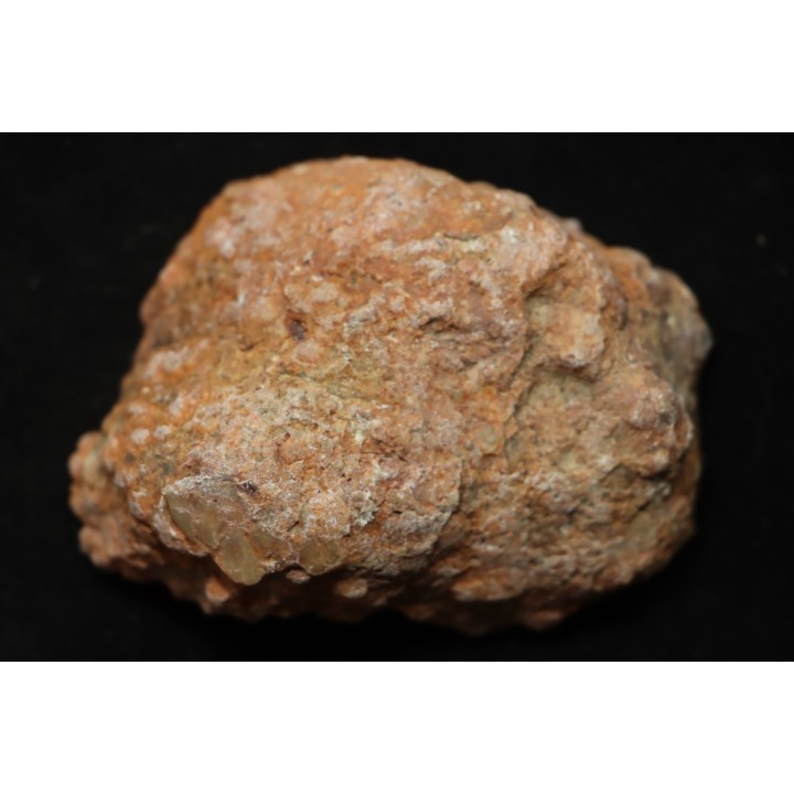 dinosaur coprolithe - jurassic - Morrison Formation