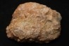 dinosaur coprolithe - jurassic - Morrison Formation