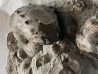 Hoploscaphites nebrascensis - Maestrichtien - Dakota - USA