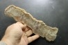 dinosaur coprolithe - jurassic - Morrison Formation