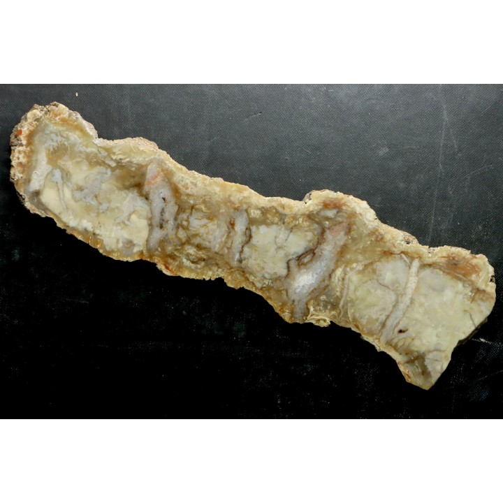 dinosaur coprolithe - jurassic - Morrison Formation