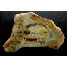 dinosaur coprolithe - jurassic - Morrison Formation