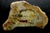 dinosaur coprolithe - jurassic - Morrison Formation