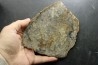 dinosaur coprolithe - jurassic - Morrison Formation