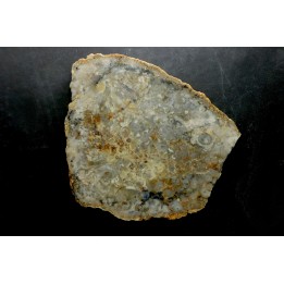 coprolithe de dinosaure - jurassique - Morrison Formation