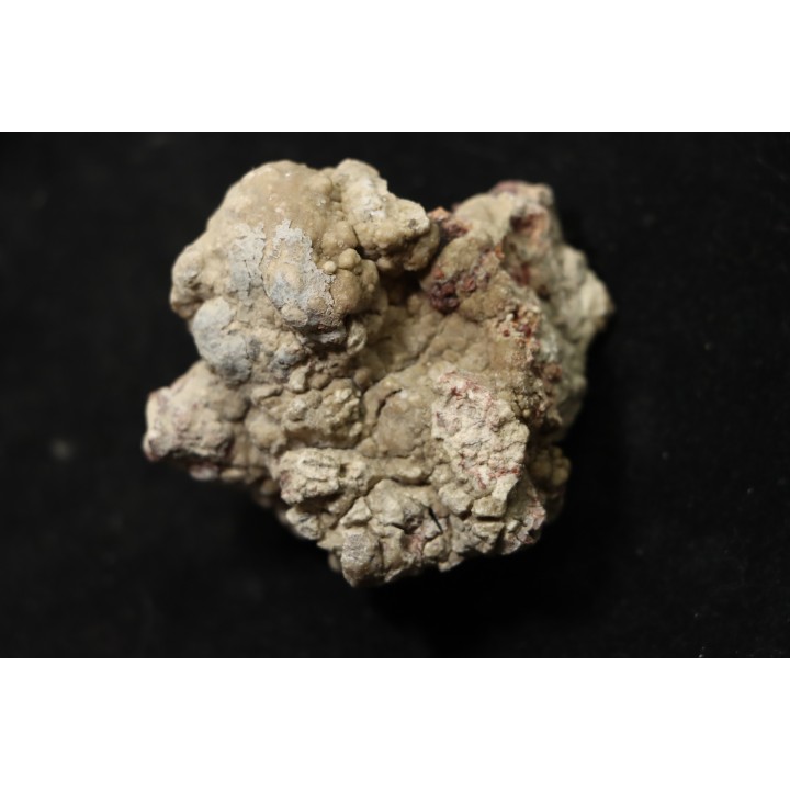 dinosaur coprolithe - jurassic - Morrison Formation - Wyoming, USA