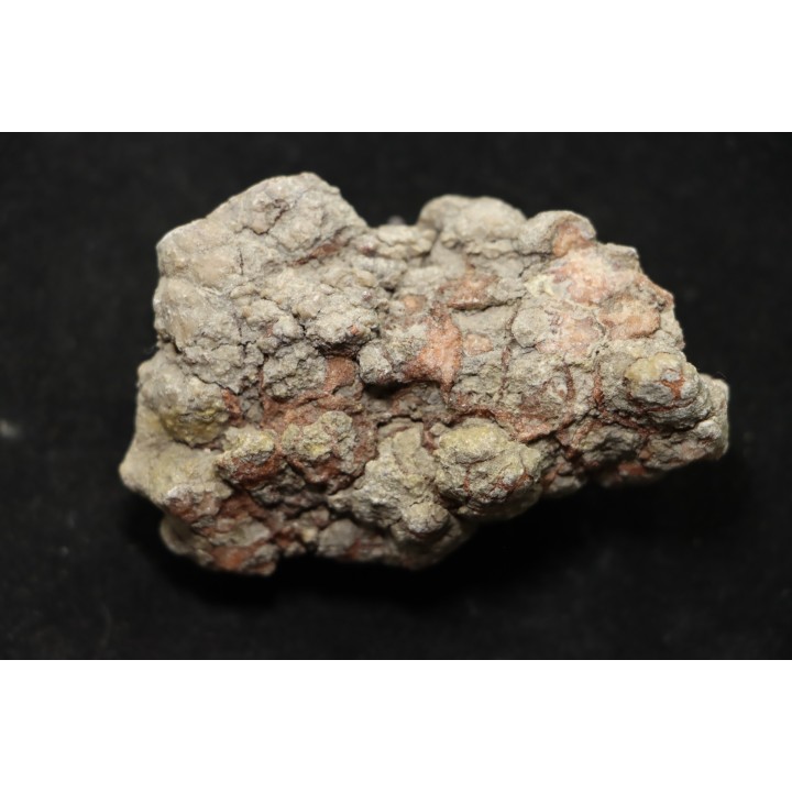 dinosaur coprolithe - jurassic - Morrison Formation - Wyoming, USA