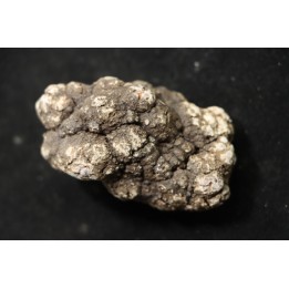 coprolithe de dinosaure - jurassique - Morrison Formation - Wyoming, USA