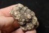 dinosaur coprolithe - jurassic - Morrison Formation - Wyoming, USA