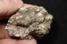 dinosaur coprolithe - jurassic - Morrison Formation - Wyoming, USA