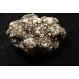 coprolithe de dinosaure - jurassique - Morrison Formation - Wyoming, USA