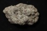 dinosaur coprolithe - jurassic - Morrison Formation - Wyoming, USA