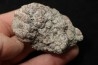 dinosaur coprolithe - jurassic - Morrison Formation - Wyoming, USA