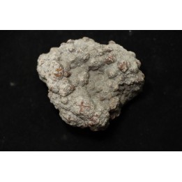 dinosaur coprolithe - jurassic - Morrison Formation - Wyoming, USA