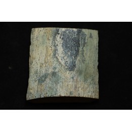 Mammoth ivory - Alaska
