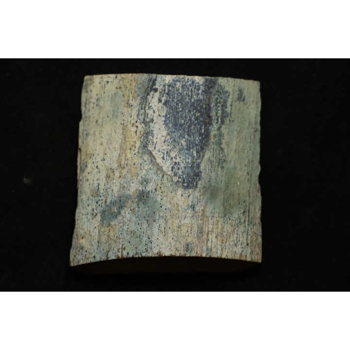Mammoth ivory - Alaska