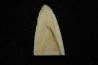 Mammoth ivory - Alaska