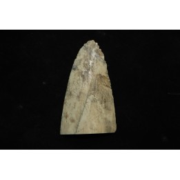 Mammoth ivory - Alaska