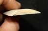 Mammoth ivory - Alaska