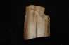 Mammoth ivory - Alaska