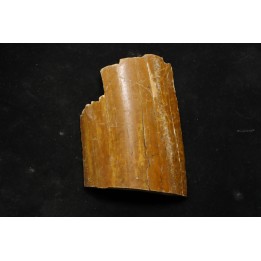 Mammoth ivory - Alaska