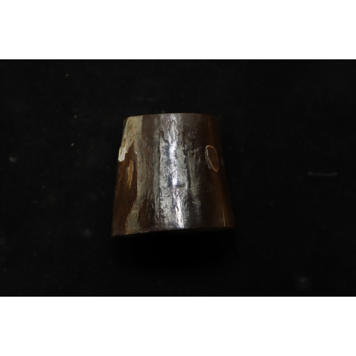 Mammoth ivory - Alaska