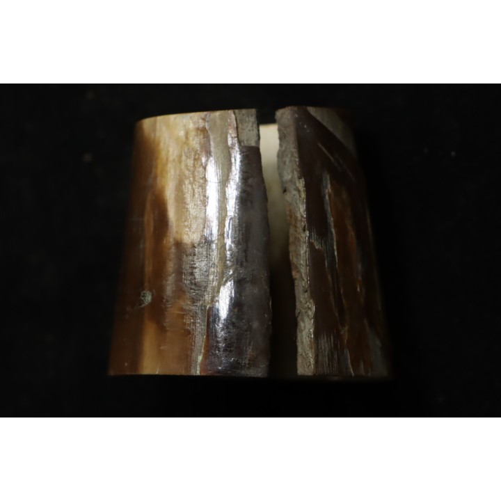 Mammoth ivory - Alaska