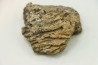 Dinosaure: fragment de collerette de TRICERATOPS HORRIDUS - Hell Creek  Fmt - crétacé sup. - Glendive County, Montana