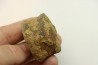 vertèbre de dinosaure TRICERATOPS HORRIDUS - Hell Creek Fmt - crétacé supérieur - Dawson County, Montana