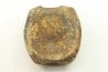 dinosaure vertebra: TRICERATOPS HORRIDUS
