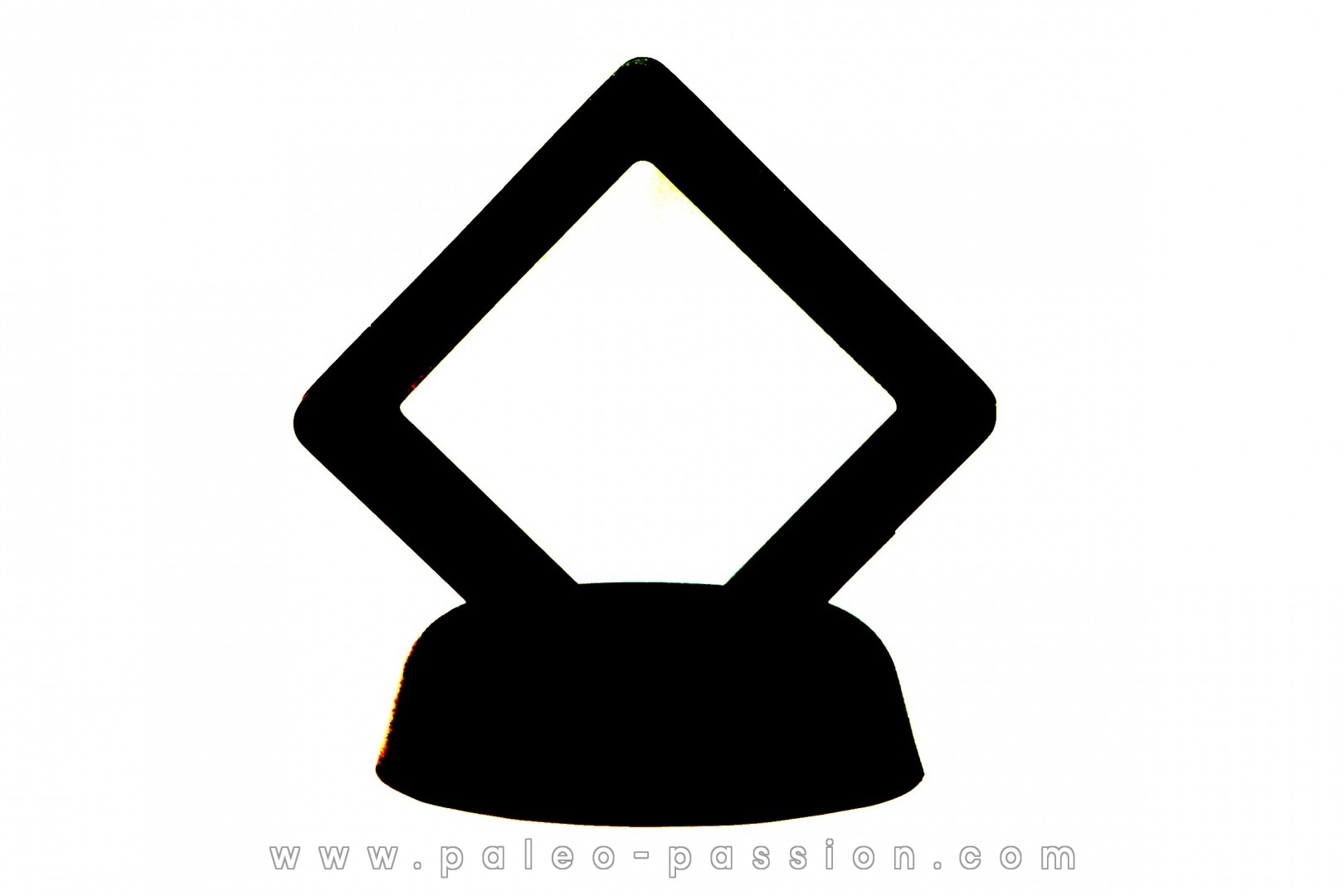 MEMBRANE BOX for presentation of small fossils, minerals or meteorites