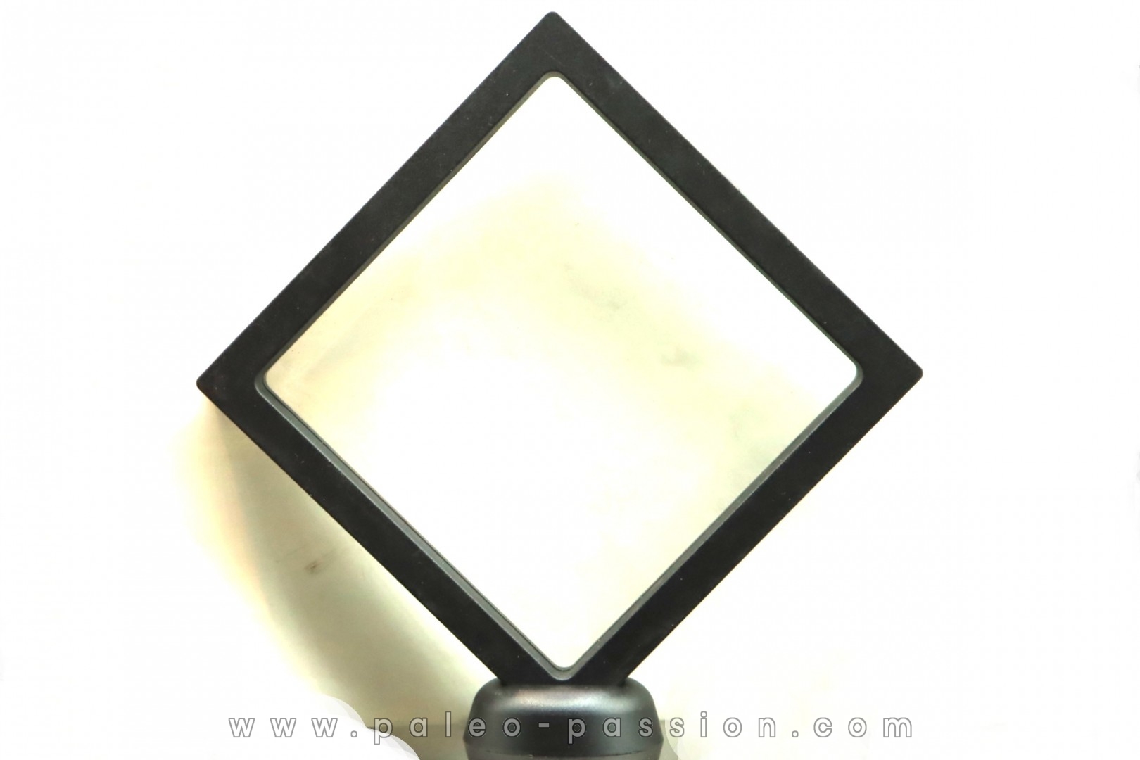 MEMBRANE BOX 14cm / 14cm for presentation of small fossils, minerals or meteorites