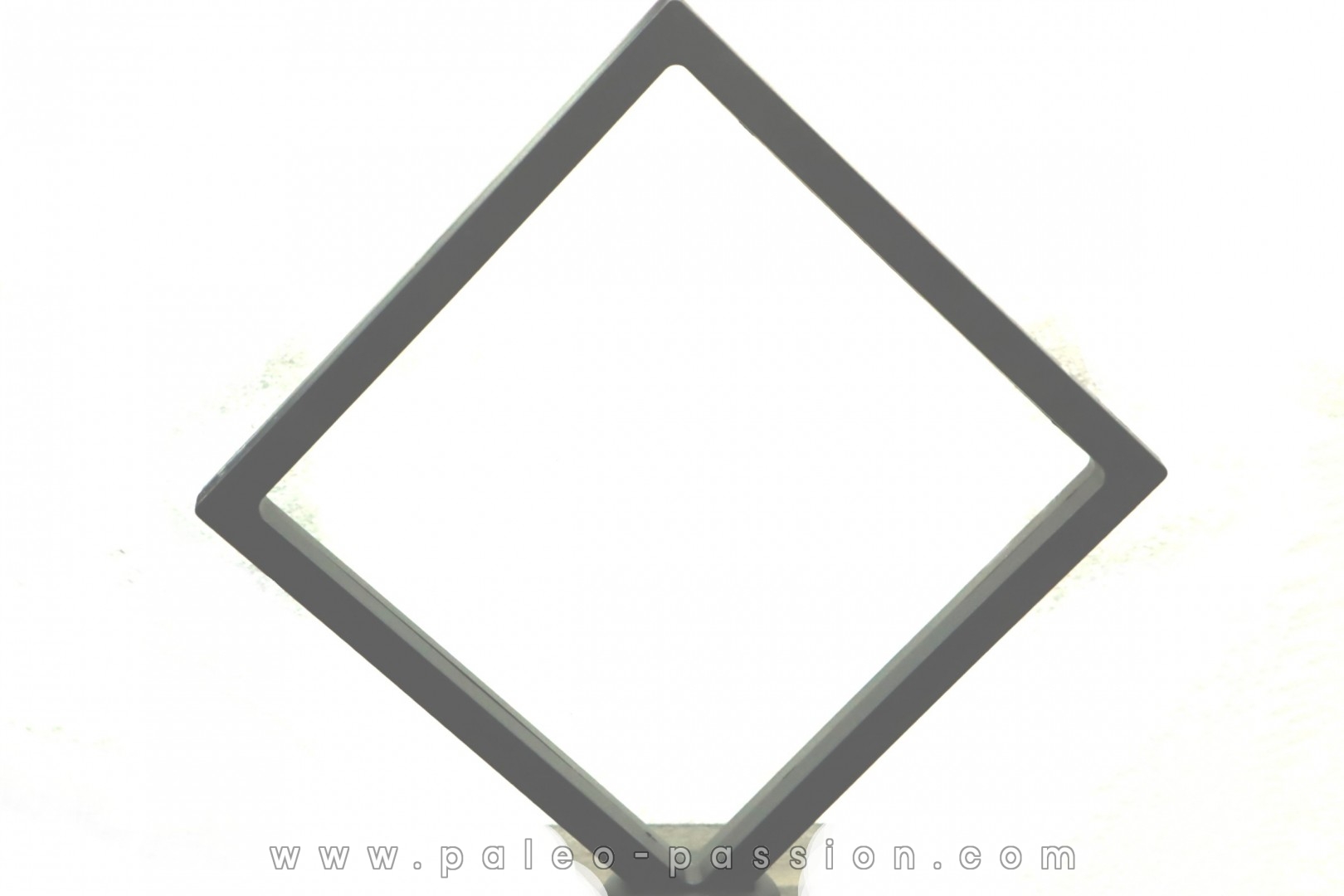 BOITE MEMBRANE 18cm par 18cm pour mettre en valeur vos fossiles, mineraux ou encore meteorites.