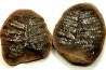 Nodule de fougère: PECOPTERIS VILLOSA - carbonifère - Mazon creek - USA