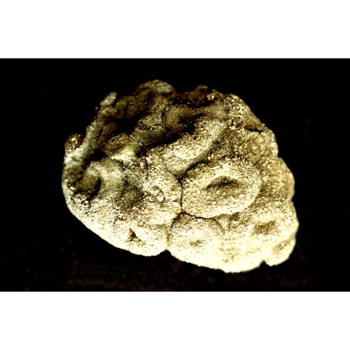 Placoscyphia meandrina (pseudomorphose en pyrite) - cénomanien  - Cap Blanc Nez