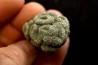 Placoscyphia meandrina (pseudomorphose en pyrite) - cénomanien  - Cap Blanc Nez