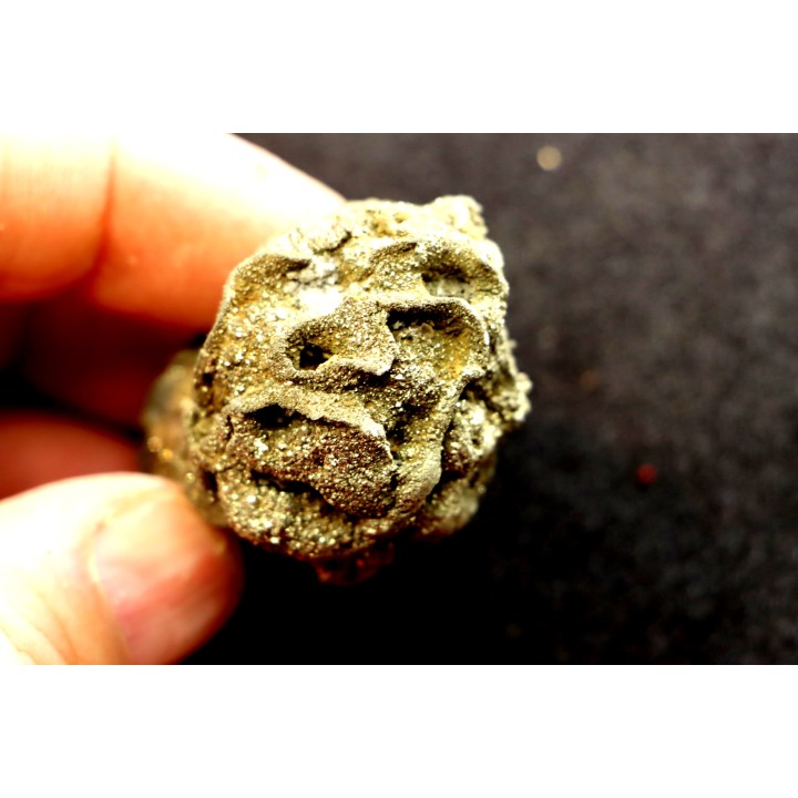 Placoscyphia meandrina (pseudomorphose en pyrite) - cénomanien  - Cap Blanc Nez