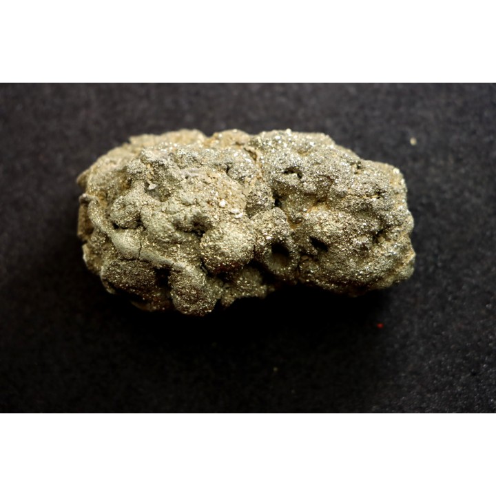 Placoscyphia meandrina (pseudomorphose en pyrite) - cénomanien  - Cap Blanc Nez
