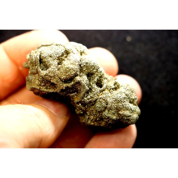 Placoscyphia meandrina (pseudomorphose en pyrite) - cénomanien  - Cap Blanc Nez