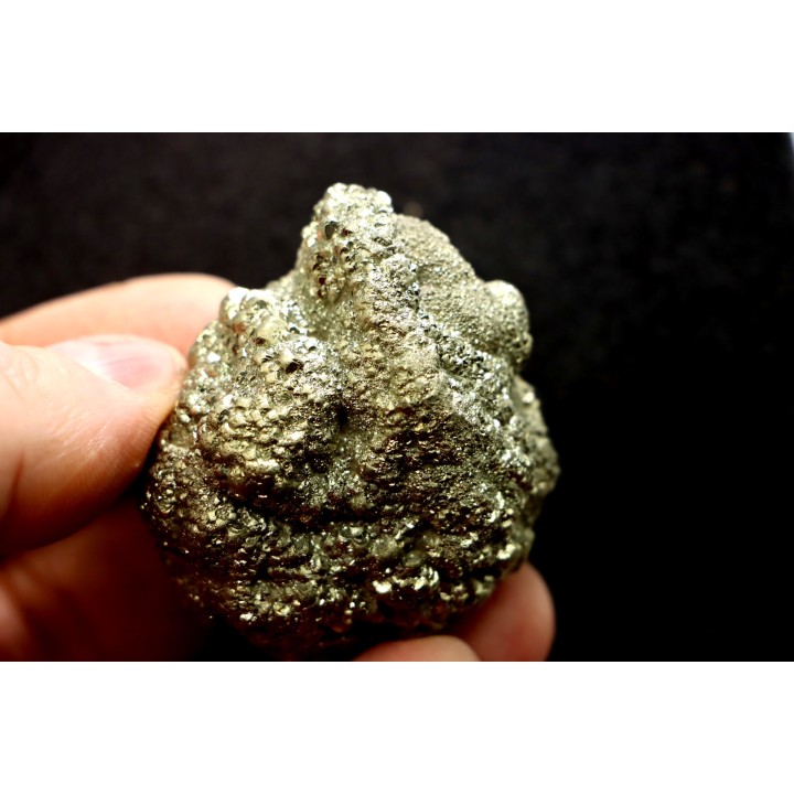 Placoscyphia meandrina (pseudomorphose en pyrite) - cénomanien  - Cap Blanc Nez