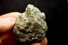 Placoscyphia meandrina (pseudomorphose en pyrite) - cénomanien  - Cap Blanc Nez