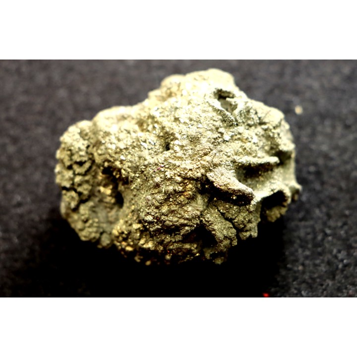 Placoscyphia meandrina - cenomanian - Cap Blanc Nez – france
