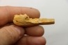 MOSASAUR MUZZLE // HALISAURUS ARAMBOURGI (Bardet & alii,2004) //Maestrichtian // Oued Zem - Morocco