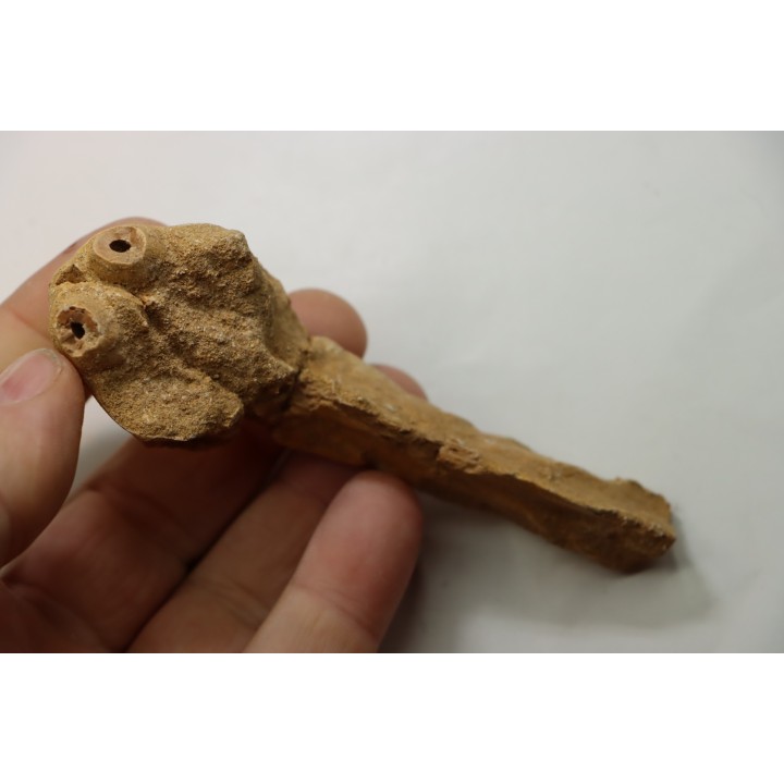 MOSAURE MUZZLE // Prognathodon Anceps //Maestrichtian // Oued Zem - Morocco