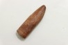 dent de sauropode: Rebbachisaurus sp.