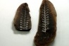 Nodule de fougère: PECOPTERIS VILLOSA - carbonifère - Mazon creek - USA